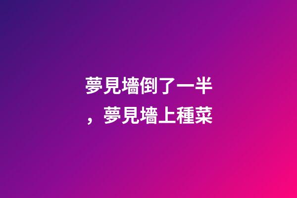 夢見墻倒了一半，夢見墻上種菜-第1張-觀點-玄機派